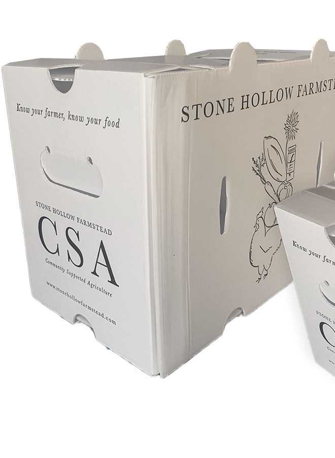 微信图片 _20250704111446