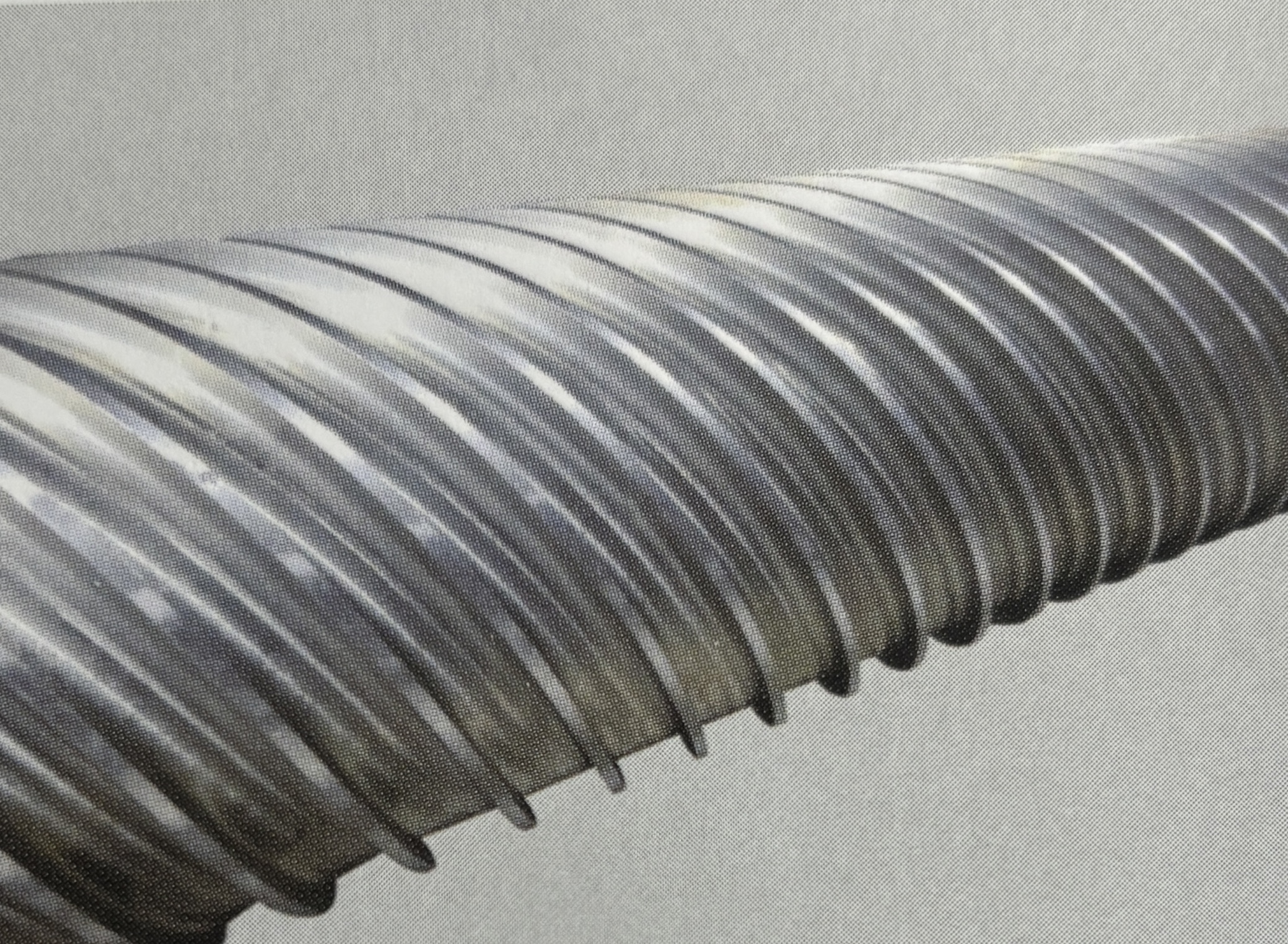 أسطوانة فعالة ذات جدار رقيق