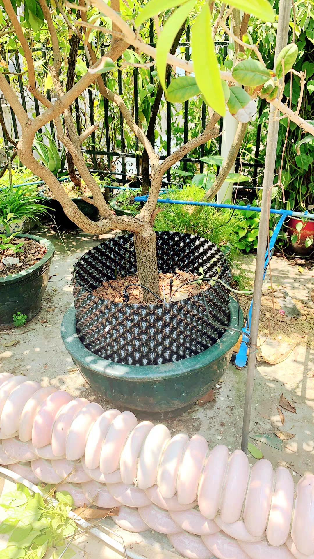 微信图片_20260302214024_90_24