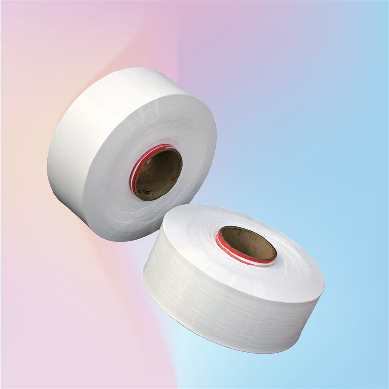 رقيق منكر PA6